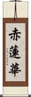 赤蓮華 Scroll