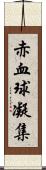 赤血球凝集 Scroll