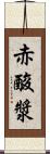 赤酸漿 Scroll