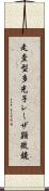 走査型多光子レーザ顕微鏡 Scroll