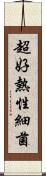 超好熱性細菌 Scroll