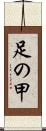 足の甲 Scroll