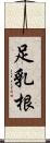 足乳根 Scroll