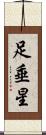 足垂星 Scroll