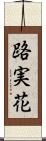 路実花 Scroll