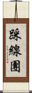 踩線團 Scroll