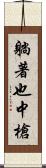 躺著也中槍 Scroll