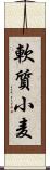 軟質小麦 Scroll