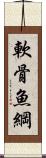 軟骨魚綱 Scroll