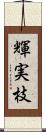 輝実枝 Scroll