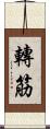轉筋 Scroll