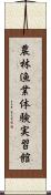 農林漁業体験実習館 Scroll