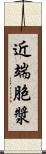 近端胞漿 Scroll