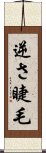 逆さ睫毛 Scroll