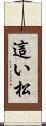 這い松 Scroll