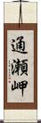 通瀬岬 Scroll