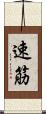 速筋 Scroll