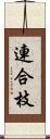 連合枝 Scroll