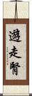 遊走腎 Scroll