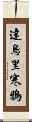 達烏里寒鴉 Scroll