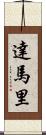 Damari Scroll