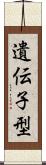 遺伝子型 Scroll