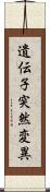 遺伝子突然変異 Scroll