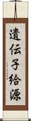 遺伝子給源 Scroll