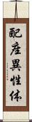 配座異性体 Scroll