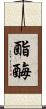 酯酶 Scroll