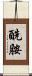 酰胺 Scroll
