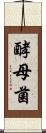 酵母菌 Scroll