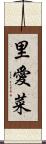 里愛菜 Scroll