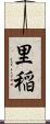 里稲 Scroll
