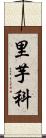 里芋科 Scroll