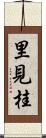 里見桂 Scroll
