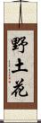 野土花 Scroll