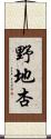 野地杏 Scroll