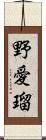 野愛瑠 Scroll