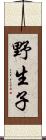 野生子 Scroll
