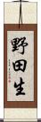 野田生 Scroll