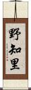 野知里 Scroll