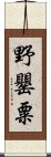 野罌粟 Scroll