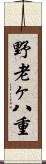 野老ヶ八重 Scroll