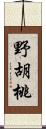 野胡桃 Scroll