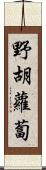 野胡蘿蔔 Scroll