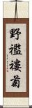 野襤褸菊 Scroll