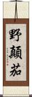 野顛茄 Scroll