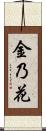 金乃花 Scroll
