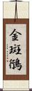 金斑鴴 Scroll